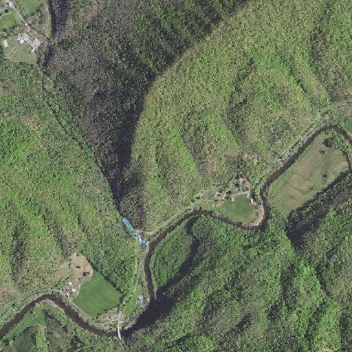 Child bitten by snake near North Fork River Road in Abingdon