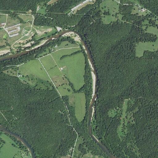 Search for missing man near Camp Yocum Road