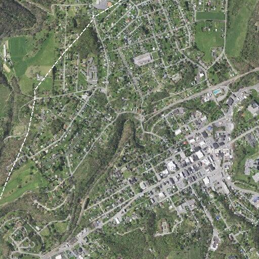 Male having allergic reaction to spider bite in Marion