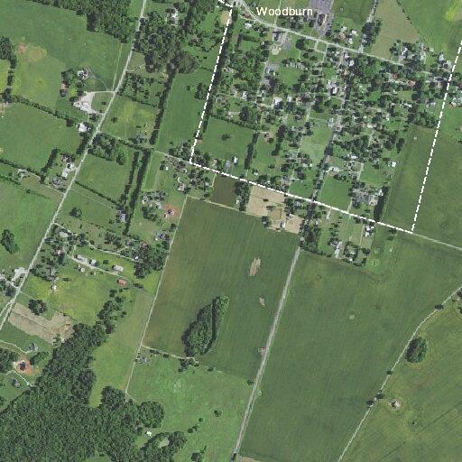 Person experiencing chest pain near Woodburn