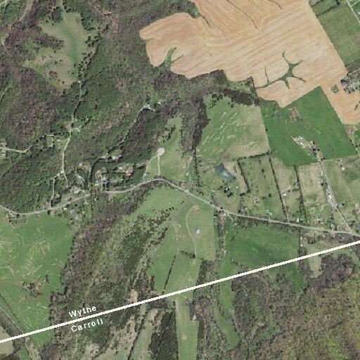 Female having seizure in pasture near Lead Mine Road