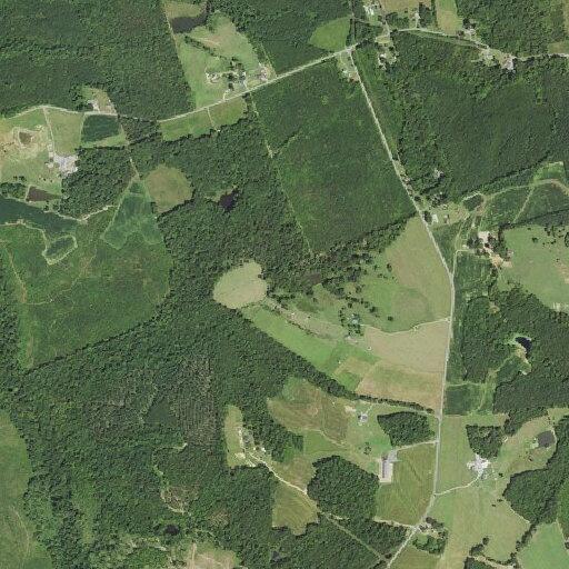 Patient with illness reported at Abbott Hill Road