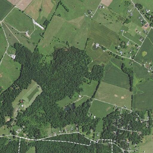 Elderly woman falls near Cemetery Road in Auburn