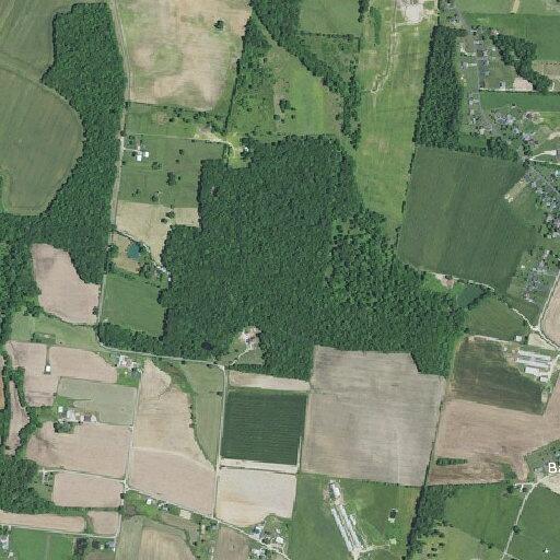 Person experiencing rectal bleeding near Goshen Road