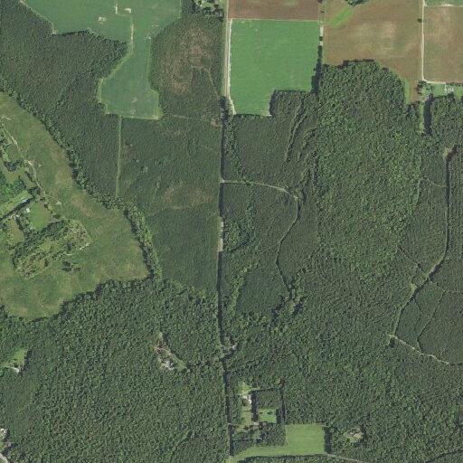 Three-year-old bitten in face by dog in Ivor, VA