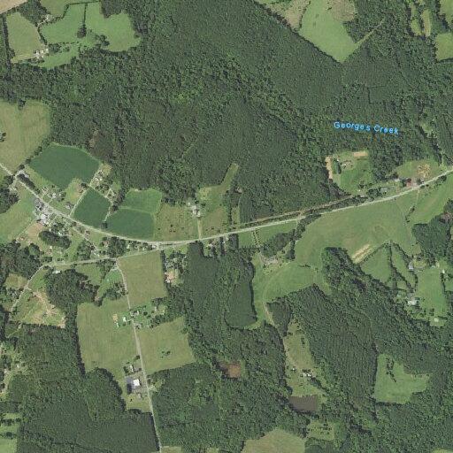 Vehicle hits bear on East Gretna Road