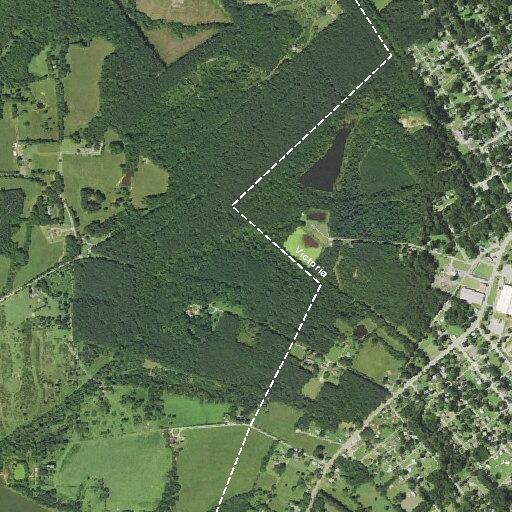 Controlled burn near West Avenue in Victoria