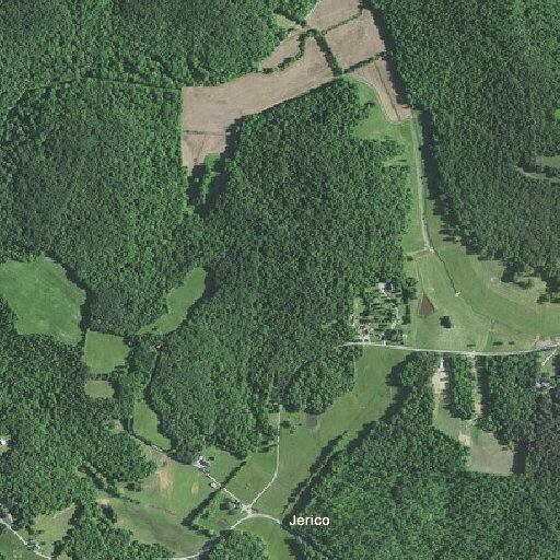 91-year-old female dizzy with slurred speech in Lewisburg