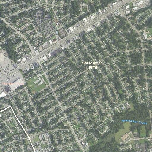 Person with diabetic problems near Custer Court in Hampton