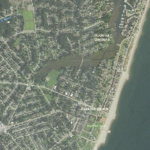 Person falling unconscious near East Pembroke Avenue, Hampton