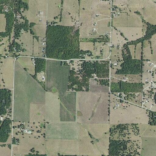85-year-old woman suffers fall injury in Woodland Park