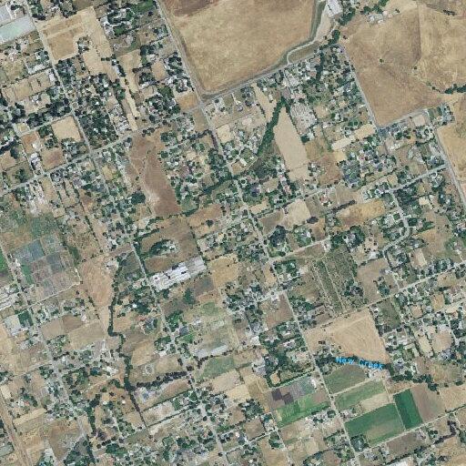 83-year-old male with immobility near San Martin