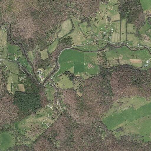 Man experiencing chest pains near Walker's Creek Road in Bland