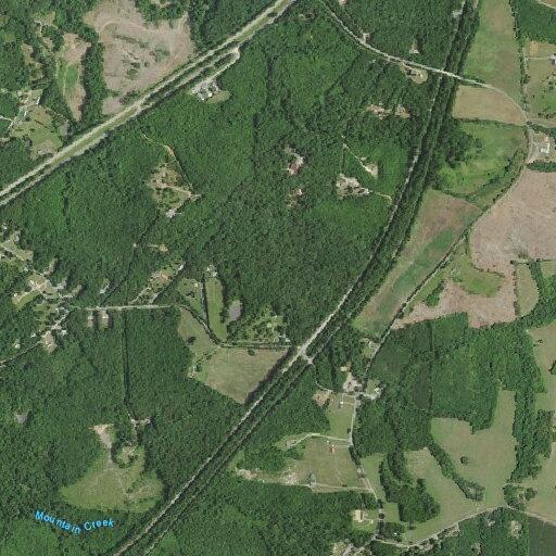 Fallen pine trees block Campbell Crossing Road