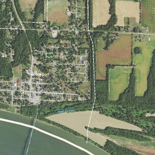 Man bitten by dog and assaulted at Brookport home