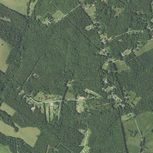 Distressed 911 open line near Lavender Lane in Altavista
