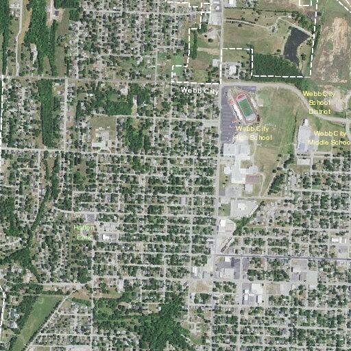 Person fell near Crow Street in Webb City