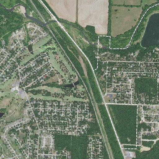 61-year-old female falls near Lone Elm Drive