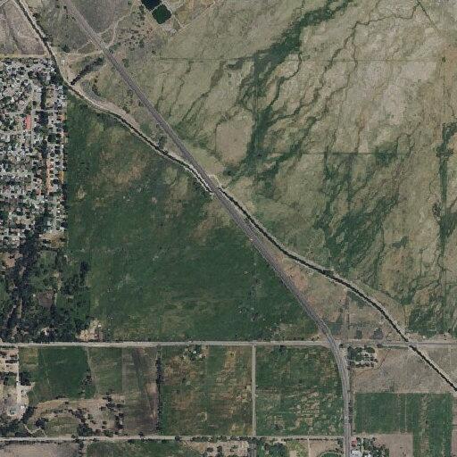 Deputy reports stray dog running near Mendenhall Park