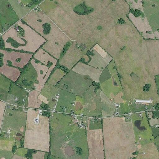 Cow loose in roadway on LeGrande Highway