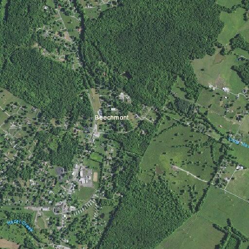 75-year-old woman not breathing near US Highway 431 South