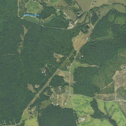 Person suffering from abdominal pain in Gladys VA