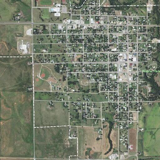 Controlled burn of dead trees on Hendrick Street