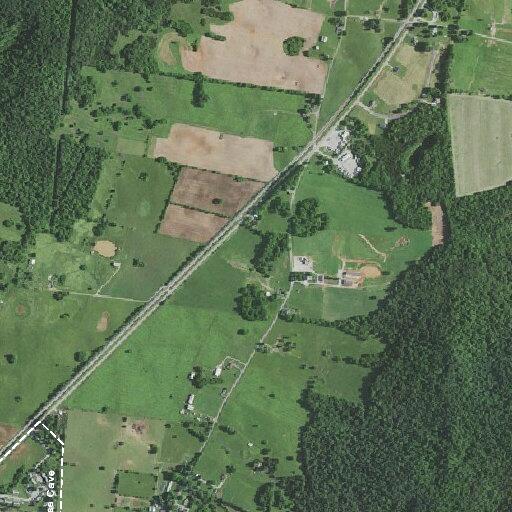 92-year-old male unresponsive but breathing at home