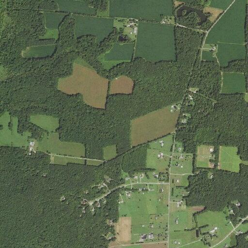Person assisted with lift at home in Disputanta, VA