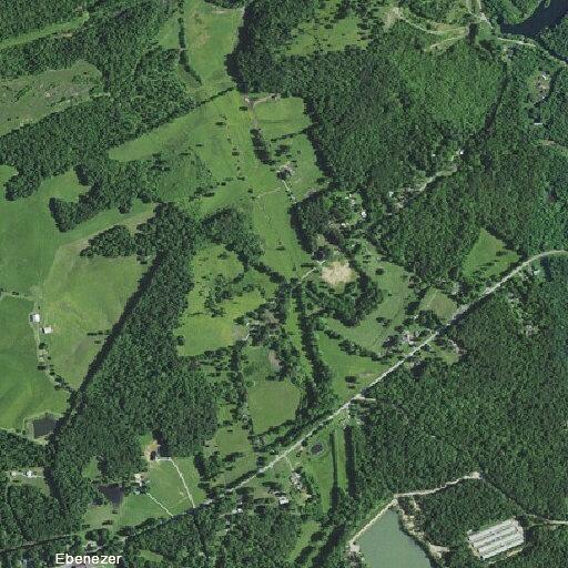 Tree blocking lane on State Route 176