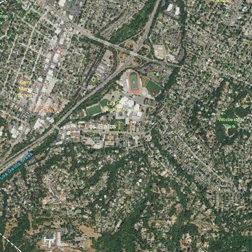 Assistance with cleanup at Los Gatos Library lot