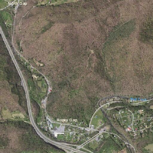 Deer struck by vehicle on Wolf Creek Highway