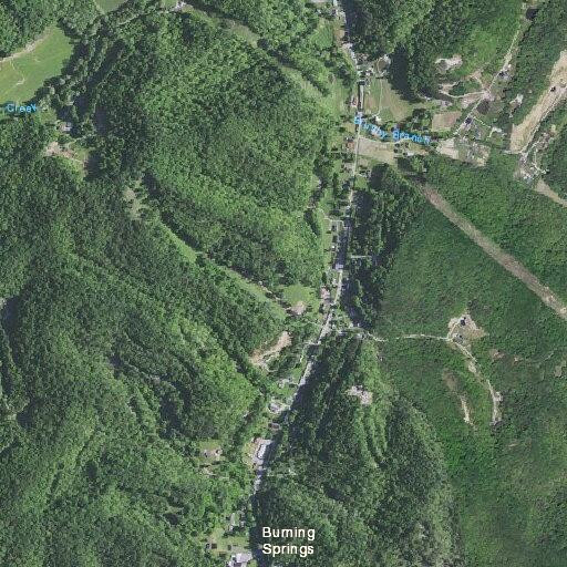 Vehicle hits fallen tree on Highway 421
