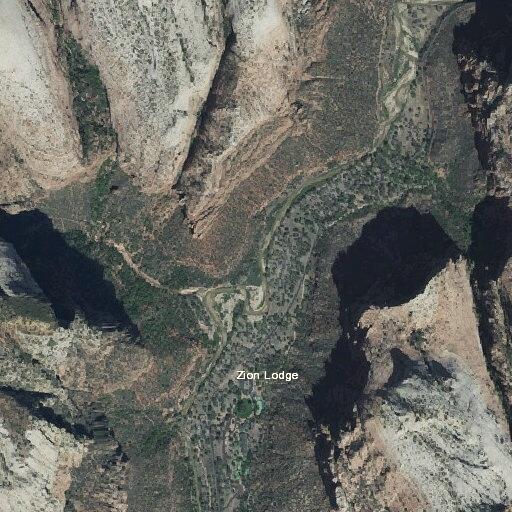 Man having seizure near Zion Lodge