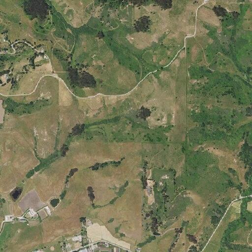 Person bitten in stomach by dog in Pescadero