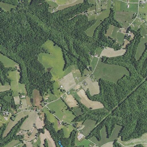 Older woman fallen with stroke symptoms near Liberty