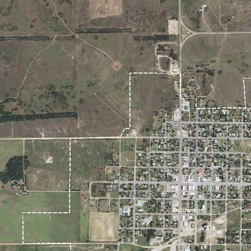 Person falls at home, possible injuries in Coldwater