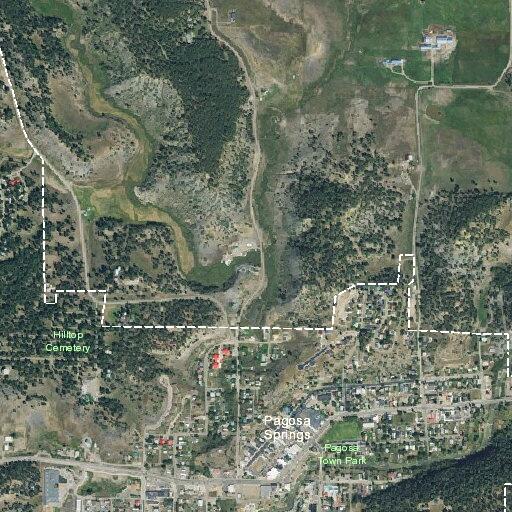 Child bitten by dog near Pagosa Springs
