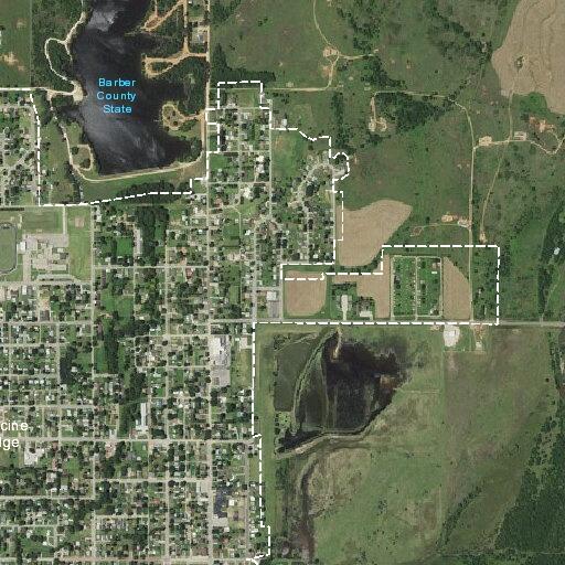 Loose white husky mix reported on North Cedar