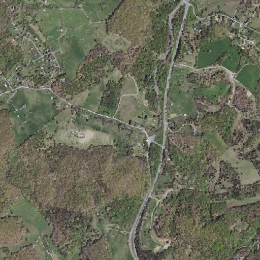 Vehicle hit deer near Route 100, no injuries