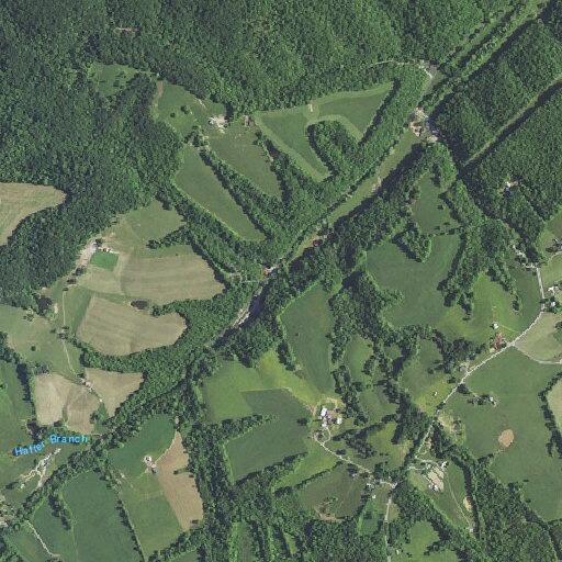 Male found confused near Kentucky 501 and Dollar General