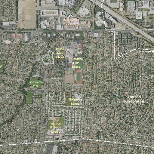 Woman with severe back pain near Phil Court in Cupertino