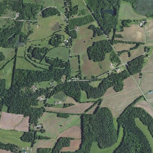 Deputies seek man with suspended license on Dalton Road