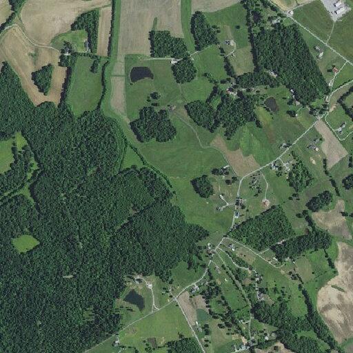 Illegal burning reported on Wild Horse Lane