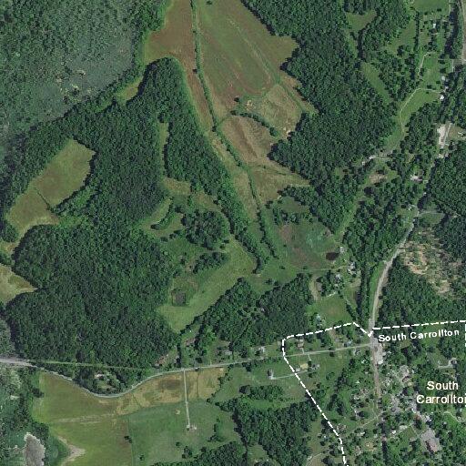 Tree limbs blocking roadway at KY-81 and Barrett Ln