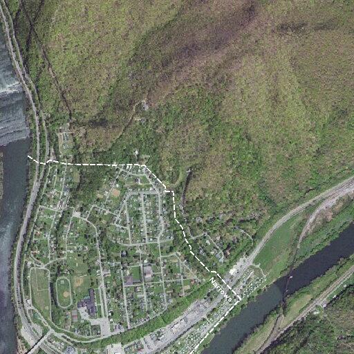 Reports of screams near homes on Hopkins Street