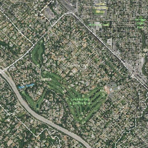 Elderly male falls near Loyola area