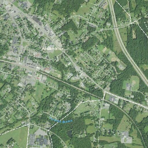78-year-old male experiencing leg pain in Appomattox