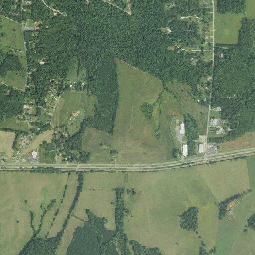 25-year-old female fainted near Iris Lane in Spout Spring