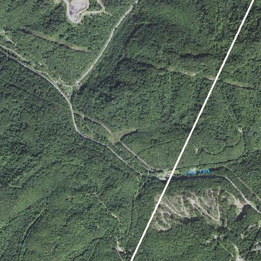 Small tree blocking lane on Coaldale Mountain Road